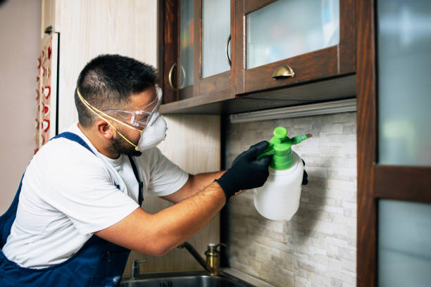 Best Pest Removal Services  in Riverside, CA
