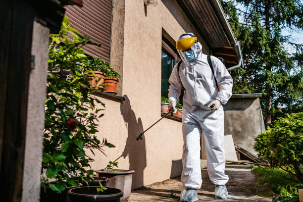 Best Residential Pest Control  in Riverside, CA