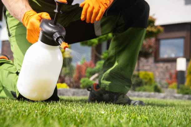 Best Exterminator Services  in Riverside, CA