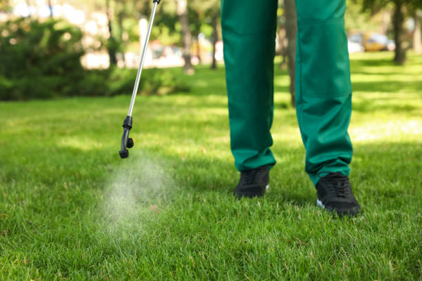Best Wasp Removal Services  in Riverside, CA