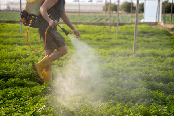 Best Mosquito Control Services  in Riverside, CA