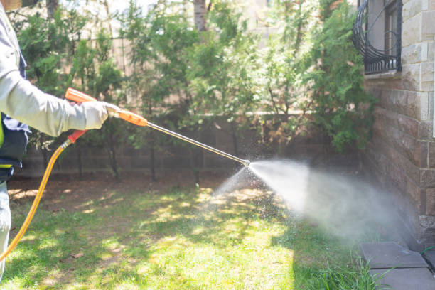 Best Insect Control  in Riverside, CA