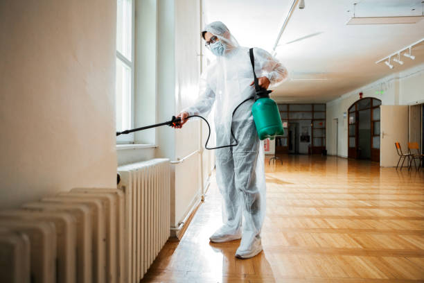 Flea Control Services in Riverside, CA