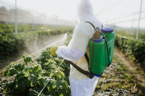 Best Best Pest Control Companies  in Riverside, CA